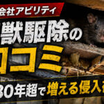 【株式会社アビリティ】害獣駆除の口コミ｜築30年超で増える侵入被害