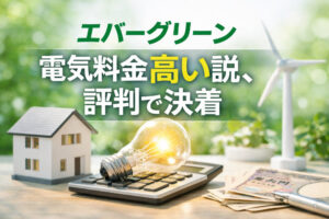 エバーグリーン電気料金高い説、評判で決着